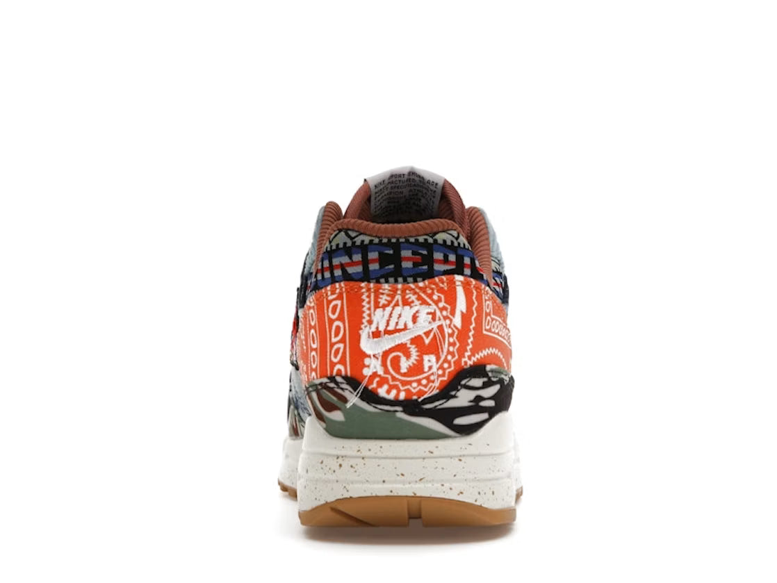 Nike Air Max 1 SP Concepts Heavy